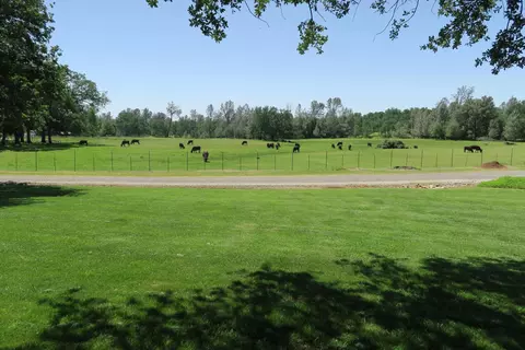 20000 Broken Spoke Ln, Redding, CA 96003 photo 52