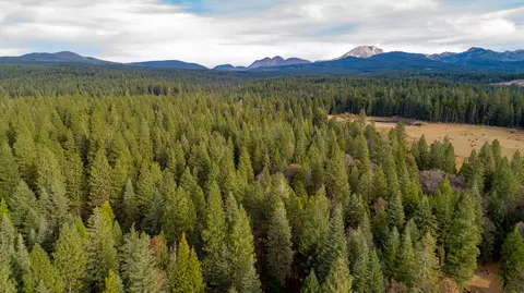 36336 Deer Flat Rd, Shingletown, CA 96088 photo 58