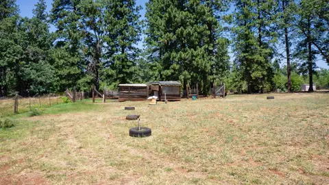 21795 Graham Rd, Manton, CA 96059 photo 75