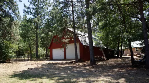 21795 Graham Rd, Manton, CA 96059 photo 81