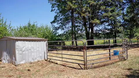 21795 Graham Rd, Manton, CA 96059 photo 80