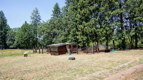 21795 Graham Rd, Manton, CA 96059 photo 78
