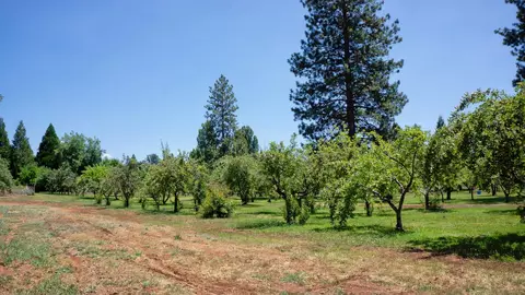 21795 Graham Rd, Manton, CA 96059 photo 94