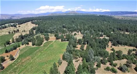 21795 Graham Rd, Manton, CA 96059 photo 6