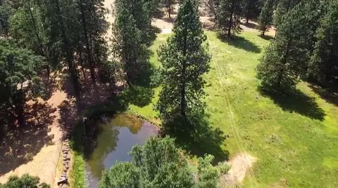 21795 Graham Rd, Manton, CA 96059 photo 4