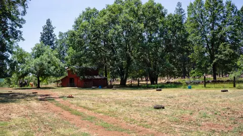 21795 Graham Rd, Manton, CA 96059 photo 79