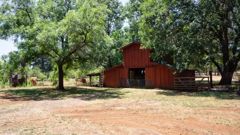 21795 Graham Rd, Manton, CA 96059 photo 15