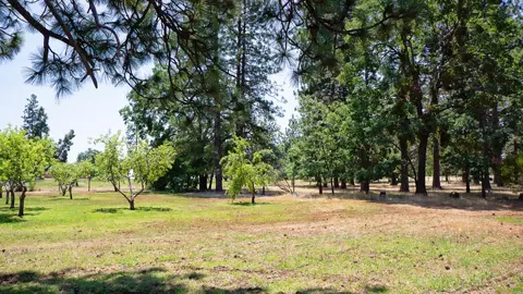 21795 Graham Rd, Manton, CA 96059 photo 89