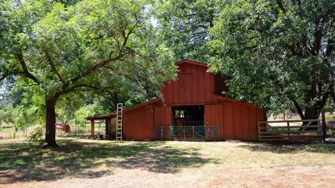 21795 Graham Rd, Manton, CA 96059 photo 8