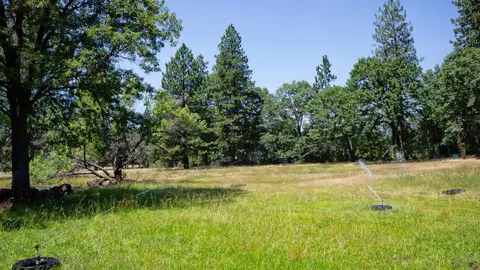 21795 Graham Rd, Manton, CA 96059 photo 71