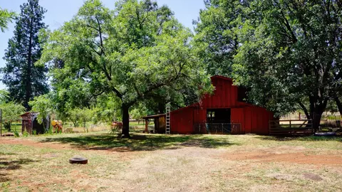 21795 Graham Rd, Manton, CA 96059 photo 87