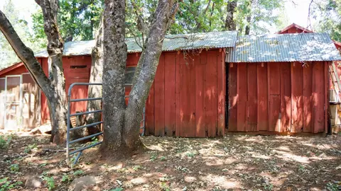 21795 Graham Rd, Manton, CA 96059 photo 70