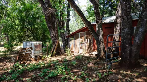 21795 Graham Rd, Manton, CA 96059 photo 67