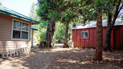 21795 Graham Rd, Manton, CA 96059 photo 25