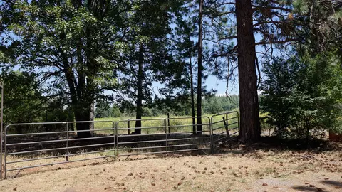 21795 Graham Rd, Manton, CA 96059 photo 86