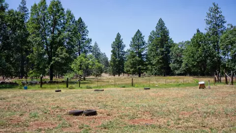21795 Graham Rd, Manton, CA 96059 photo 77