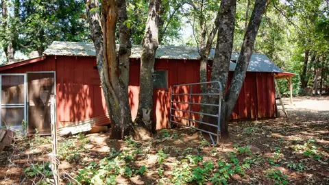21795 Graham Rd, Manton, CA 96059 photo 68