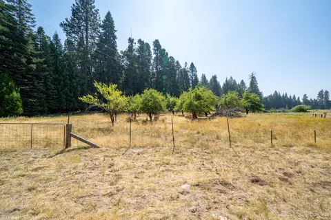 36563 Deer Flat Rd, Shingletown, CA 96088 photo 41