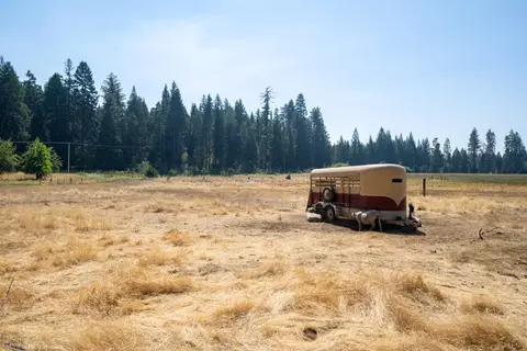36563 Deer Flat Rd, Shingletown, CA 96088 photo 43