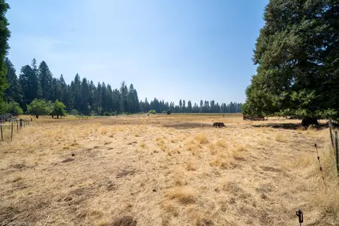 36563 Deer Flat Rd, Shingletown, CA 96088 photo 42