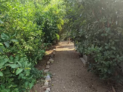 3513 Adams Ln, Redding, CA 96002 photo 33