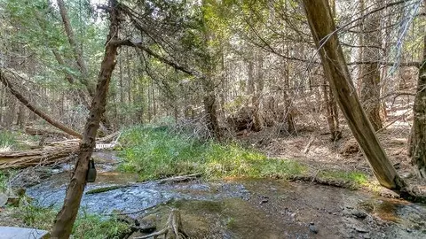 35432 Shenandoah Dr, Shingletown, CA 96088 photo 46