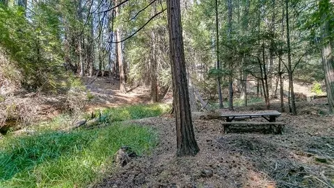 35432 Shenandoah Dr, Shingletown, CA 96088 photo 47