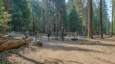 35432 Shenandoah Dr, Shingletown, CA 96088 photo 2