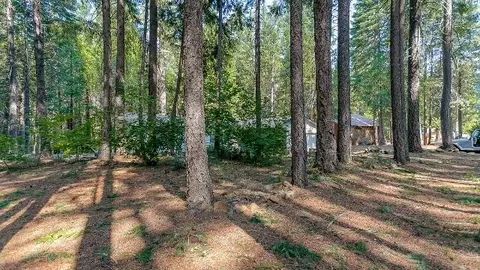 35432 Shenandoah Dr, Shingletown, CA 96088 photo 8