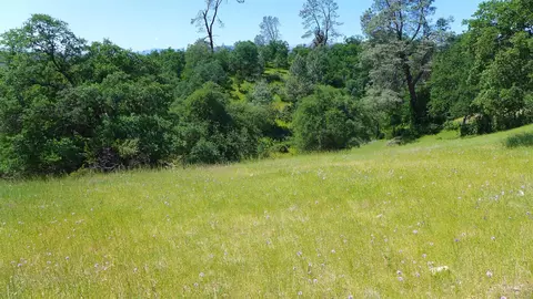4573 Peaceful Ridge Rd, Redding, CA 96001 photo 10