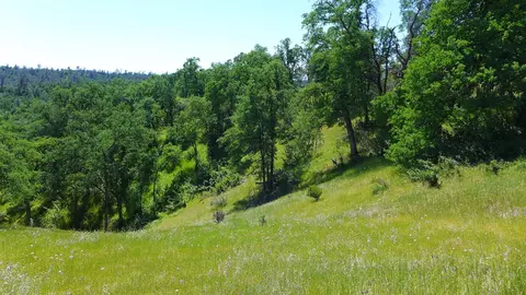 4573 Peaceful Ridge Rd, Redding, CA 96001 photo 8