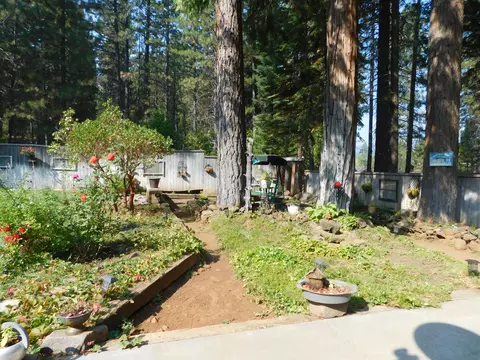 20048 Bartel St, Burney, CA 96013 photo 27