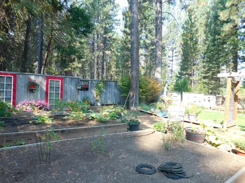 20048 Bartel St, Burney, CA 96013 photo 22