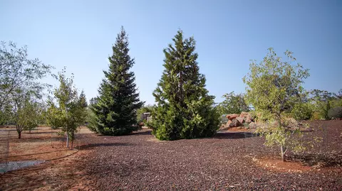 31395 Empire Dr, Manton, CA 96059 photo 42