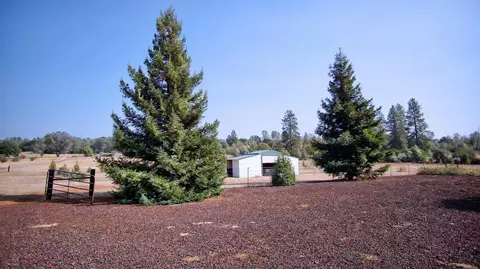 31395 Empire Dr, Manton, CA 96059 photo 16