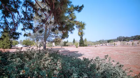 31395 Empire Dr, Manton, CA 96059 photo 50
