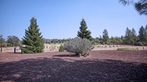 31395 Empire Dr, Manton, CA 96059 photo 57
