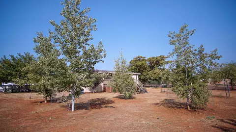 31395 Empire Dr, Manton, CA 96059 photo 56