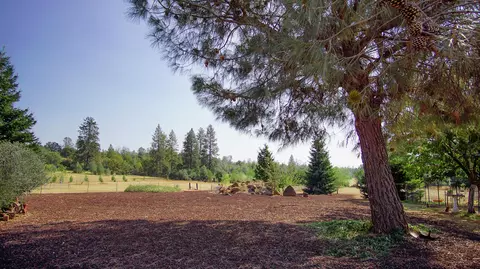 31395 Empire Dr, Manton, CA 96059 photo 38