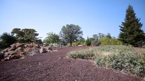 31395 Empire Dr, Manton, CA 96059 photo 41