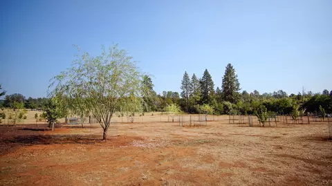 31395 Empire Dr, Manton, CA 96059 photo 54