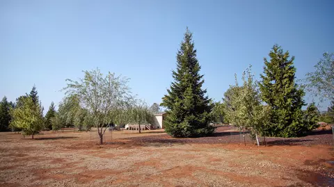 31395 Empire Dr, Manton, CA 96059 photo 46