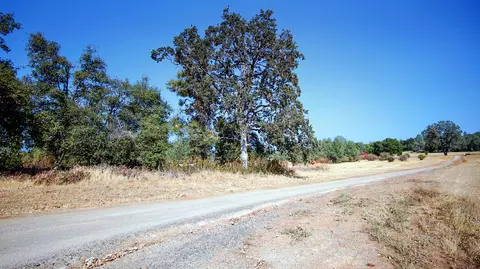 31395 Empire Dr, Manton, CA 96059 photo 11