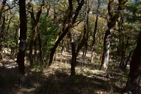 210 Tracy Ln, Mad River, CA 95552 photo 28