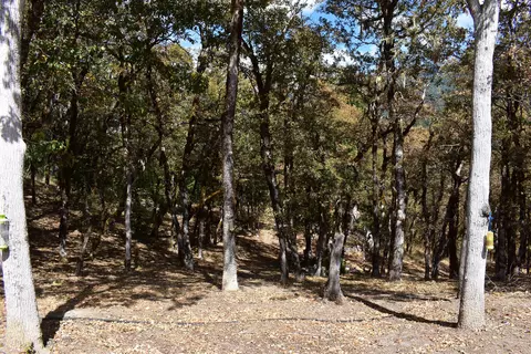 210 Tracy Ln, Mad River, CA 95552 photo 20