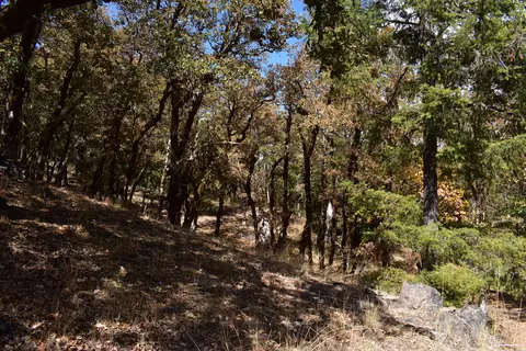 210 Tracy Ln, Mad River, CA 95552 photo 22