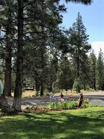 17614 Grizzly Ct, Weed, CA 96094 photo 2