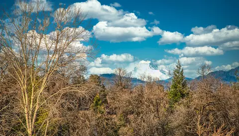 1457 Lakeside Dr, Redding, CA 96001 photo 35
