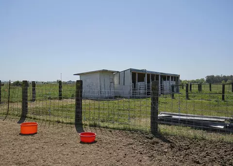 23251 Murray Ave, Gerber, CA 96035 photo 28