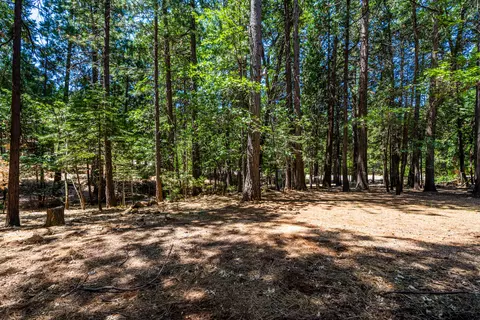 30771 Tinkerbell Ln, Shingletown, CA 96088 photo 40